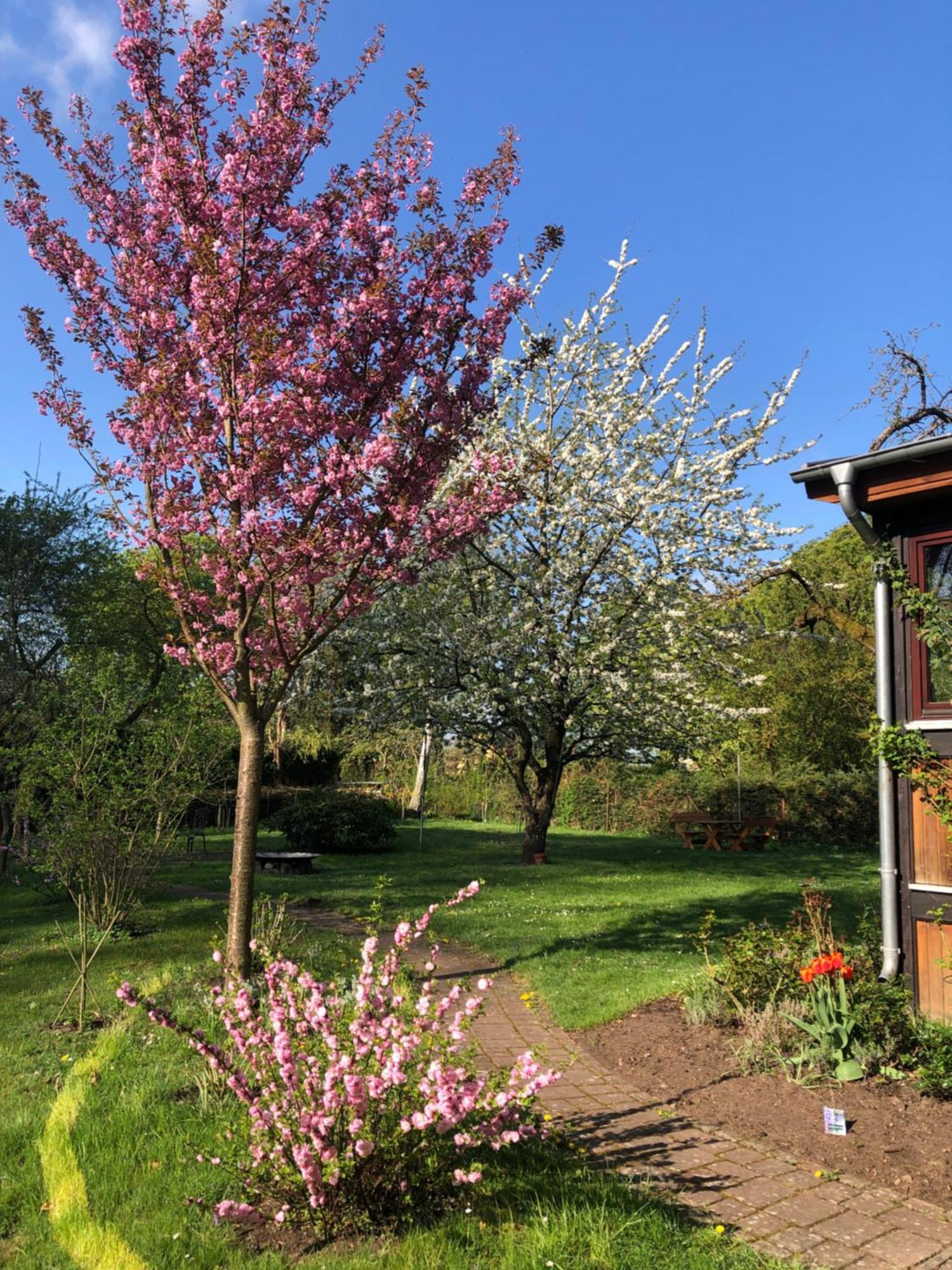 Ziethen  Ferienwohnung Kastanienblick Oder Parkblick, Oder Unser Radlerzimmer! מראה חיצוני תמונה